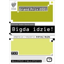 Bigda idzie Theatre TV Andrzej Wajda